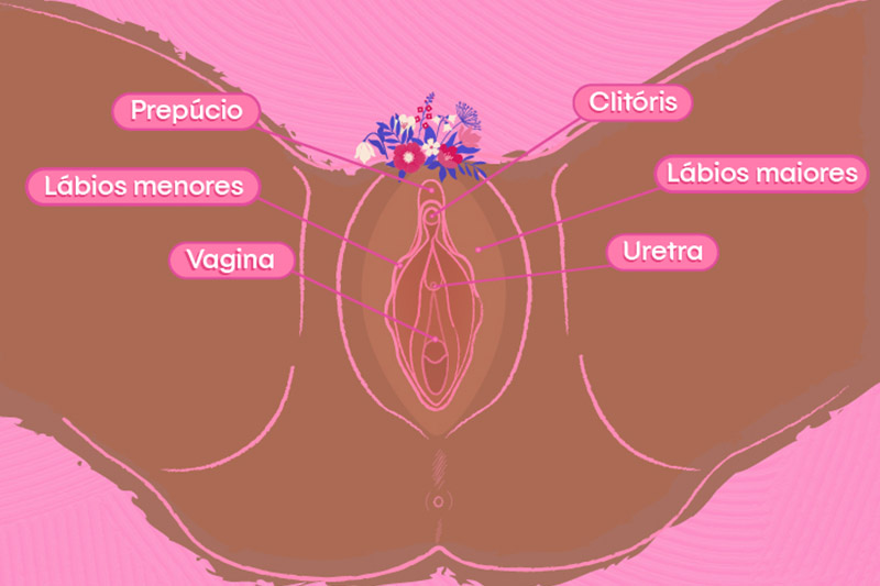 vagina-inchada
